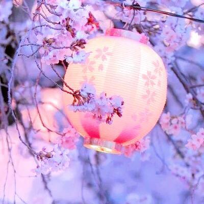 霸气的网络游戏名字 森林浴。