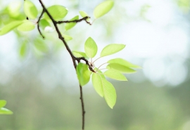 分手后的网名伤感