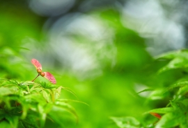 恋爱女生专属的幸福网名