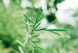 高端的ins风网名 ✿.《贱是一种态度》