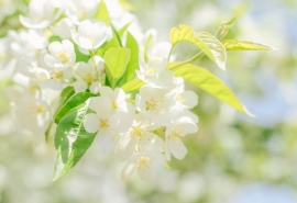 歐美系網(wǎng)名