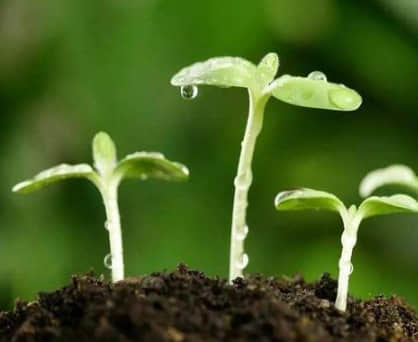 繁體字情侶網名帶符號