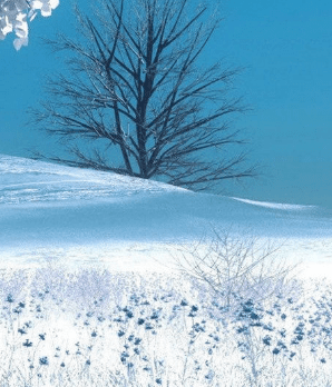 好聽(tīng)有含義的網(wǎng)名 夏槿涼安?