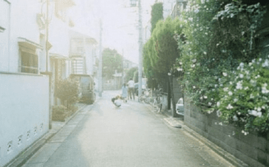 唯美wifi名称大全