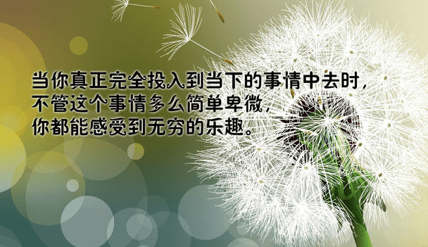 唯美有内涵的网名