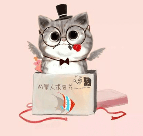 个性女生网名纯文字、姐很高，也很傲