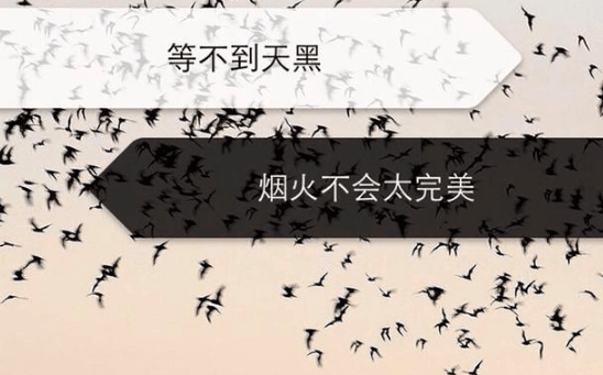 qq游戏名字_邂逅郁金香