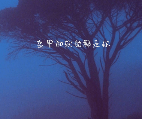 三个字古风情侣网名、半夏曲❥冬凌草