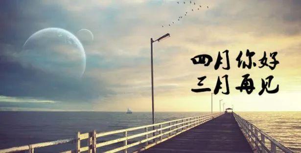 表白情话短句