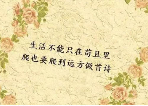 英语网名带翻译带符号